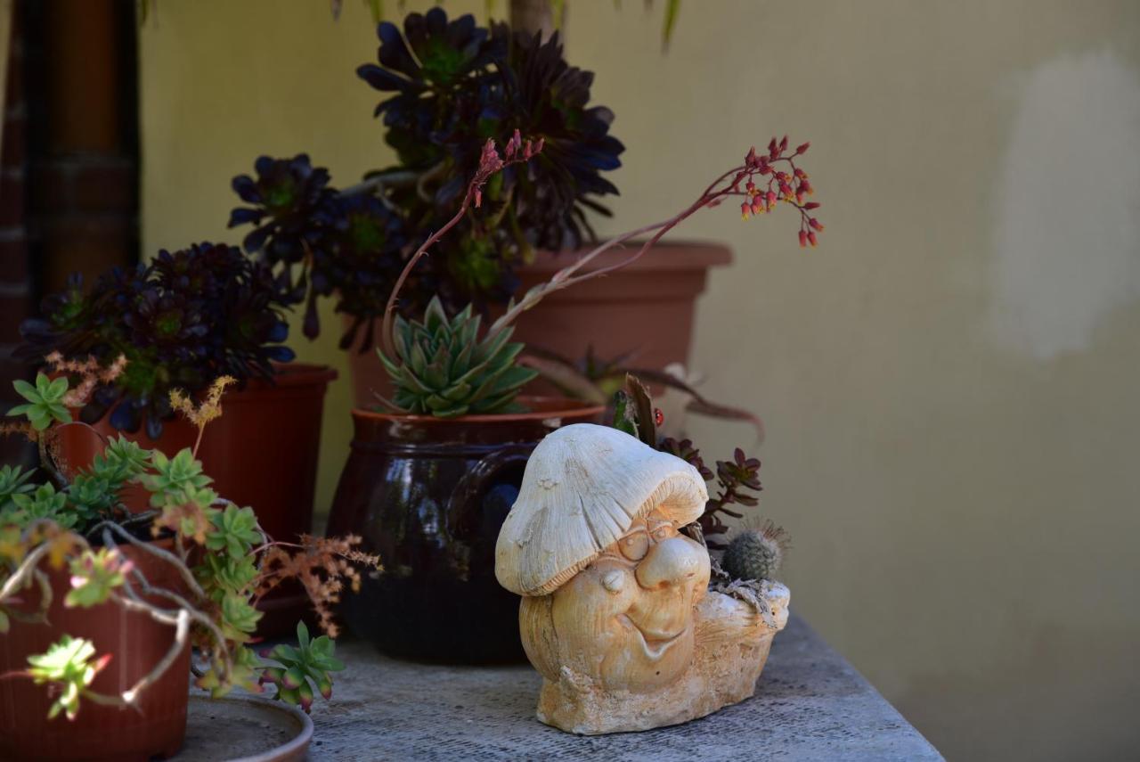 Casa Nina Bed and Breakfast Toirano Εξωτερικό φωτογραφία