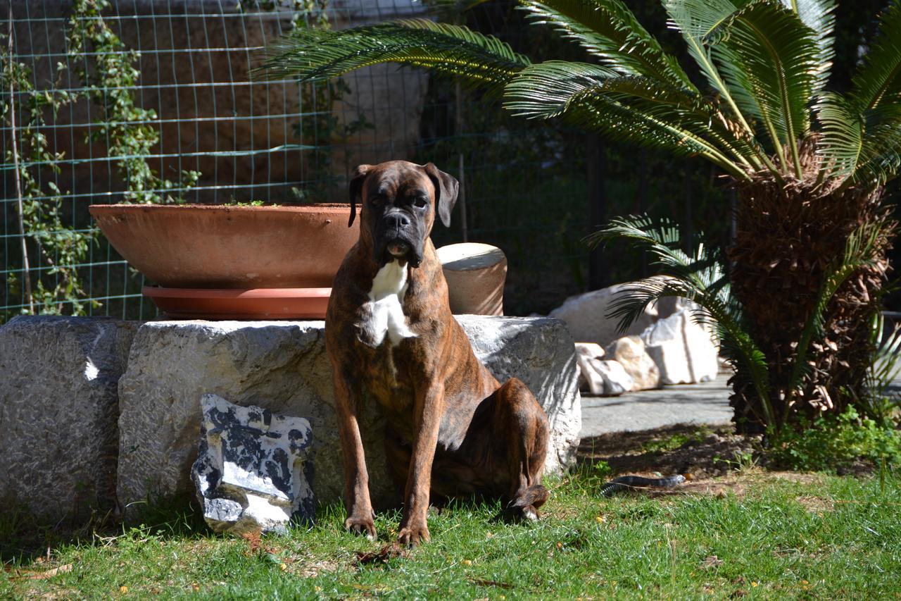 Casa Nina Bed and Breakfast Toirano Εξωτερικό φωτογραφία