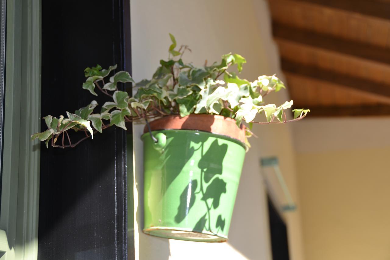 Casa Nina Bed and Breakfast Toirano Εξωτερικό φωτογραφία