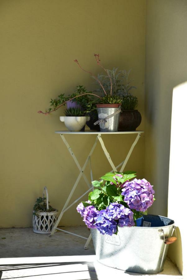 Casa Nina Bed and Breakfast Toirano Εξωτερικό φωτογραφία